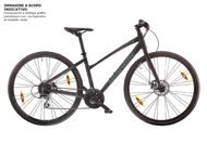 C-Sport Dama 2.5